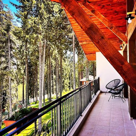 Boutique Villas Murgavets Pamporovo Ngoại thất bức ảnh